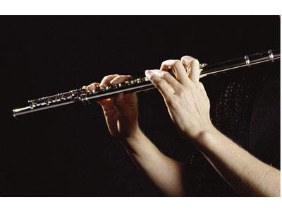 招聘东莞长笛家教老师