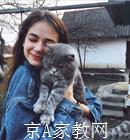 东莞大学生家教许老师